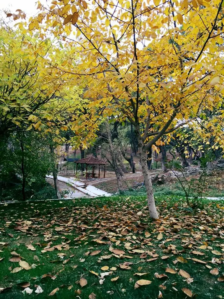Zeytinliova Gölet Konaklamalı Orman Parkı