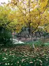 Zeytinliova Gölet Konaklamalı Orman Parkı
