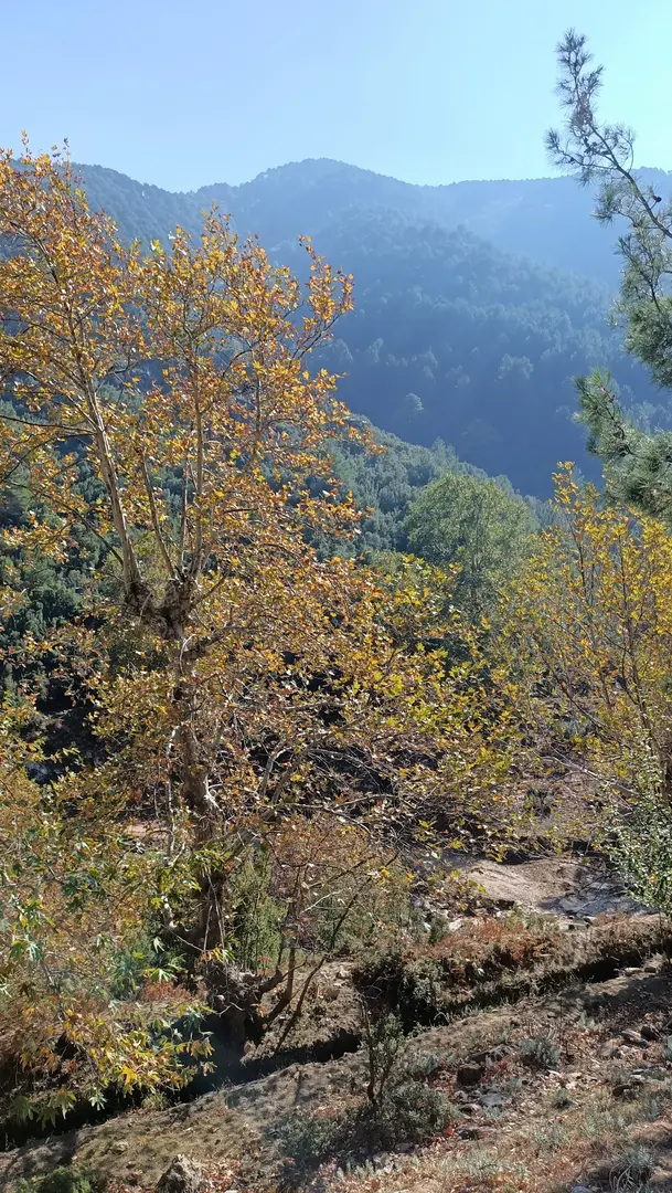 İsrafil Deresi Hiking, Camping and Offroad Park — Denizli — küçük resim 2