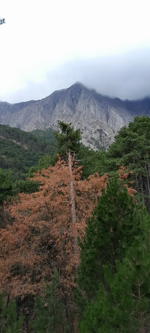 İsrafil Deresi Hiking, Camping and Offroad Park — Denizli — küçük resim 5