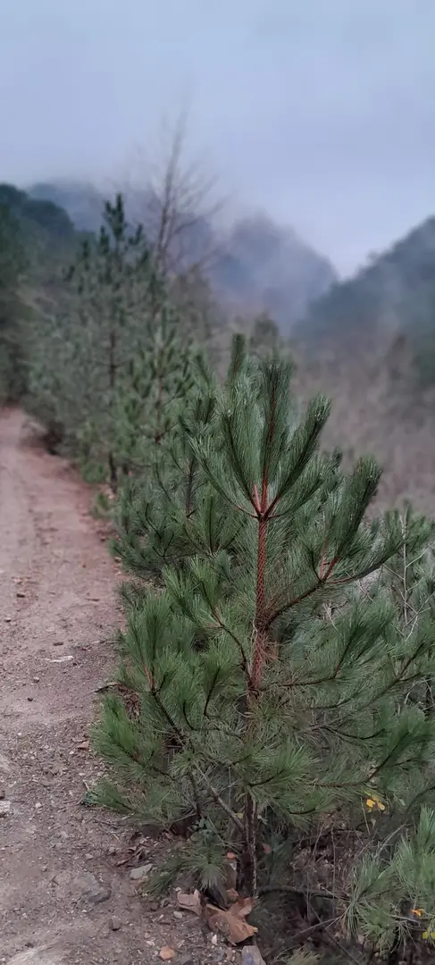 İsrafil Deresi Hiking, Camping and Offroad Park — Denizli — küçük resim 4