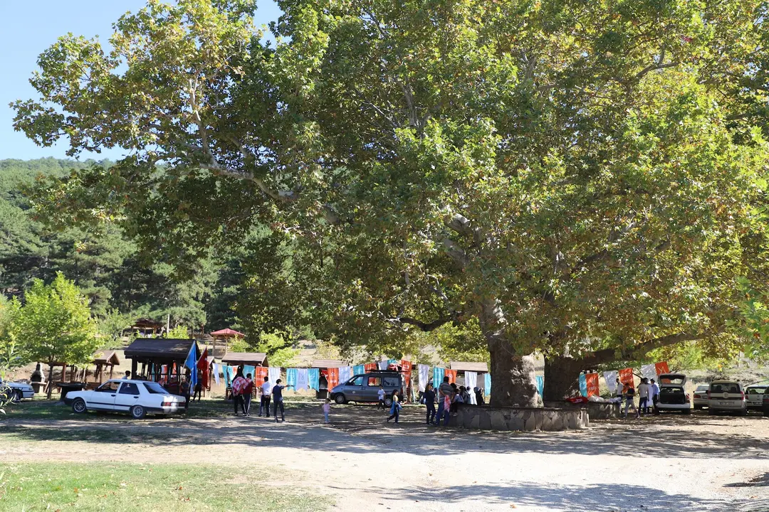 Honaz Mountain Camp — Denizli — küçük resim 5