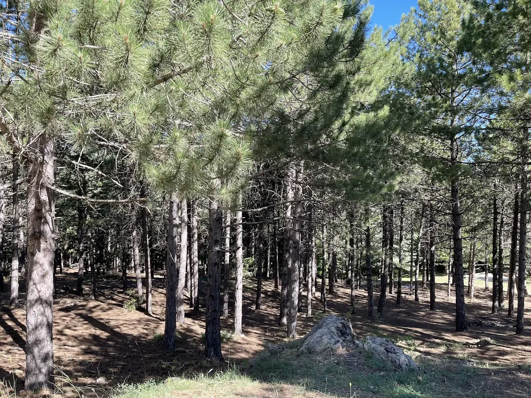 Honaz Mountain Camp — Denizli — küçük resim 4