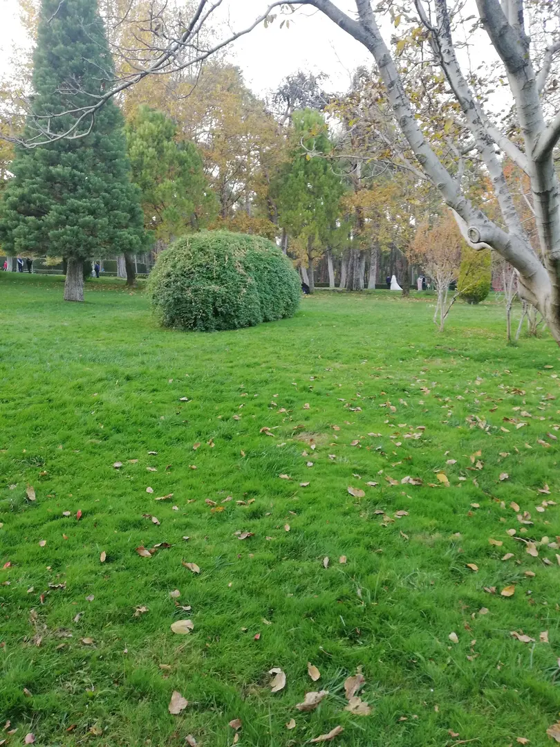 Çamlık Forest Inner Resting Place — Denizli — küçük resim 8