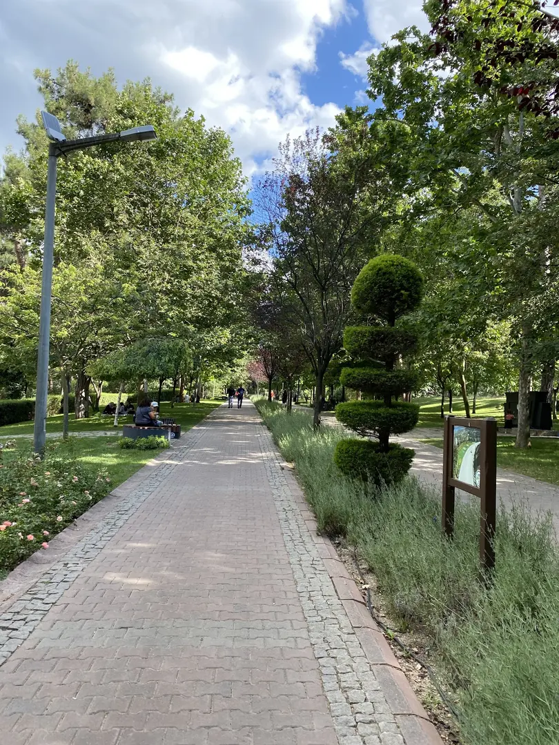 Çamlık Forest Inner Resting Place — Denizli — küçük resim 3