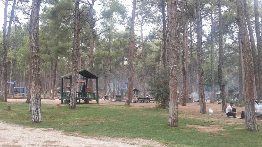 Çamlık Orman İçi Dinlenme Yeri