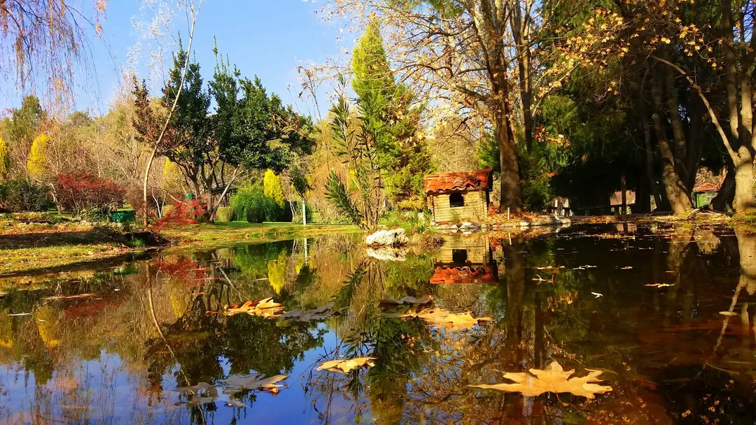 Çamlık Forest Inner Resting Place — Denizli — küçük resim 10