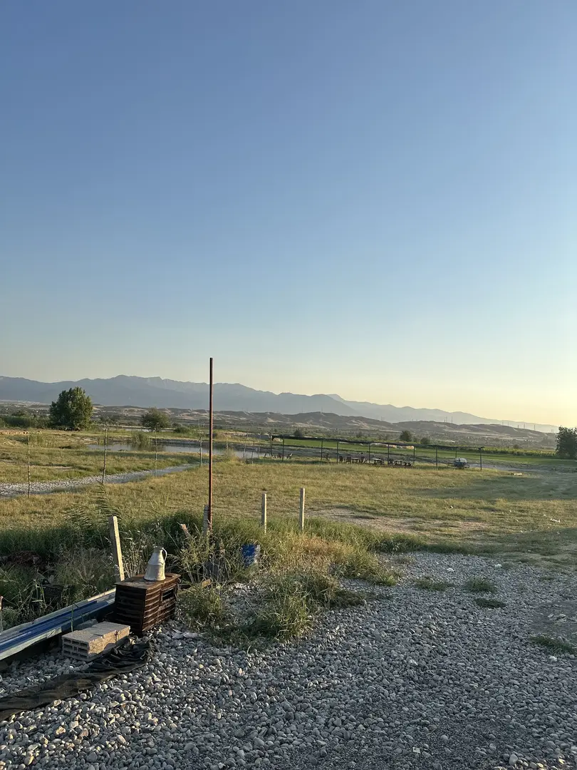 Mercan Piknik Alanı