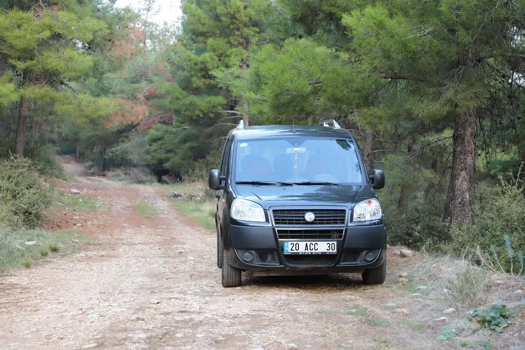 Kent Orman1 — Denizli — küçük resim 2