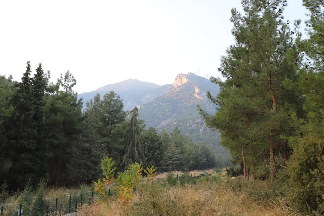 Kent Orman1 — Denizli — küçük resim 3