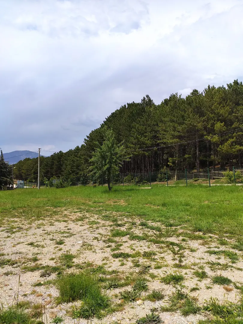 Cankurtaran Honaz Milli Parkı — Denizli — küçük resim 8