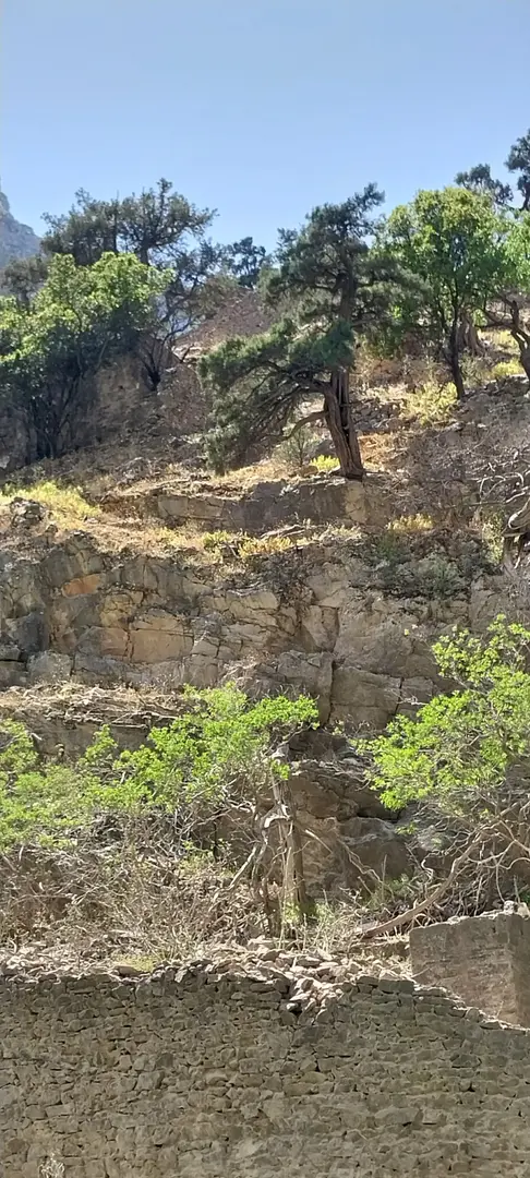 Kale Incegiz Canyon Pier — Denizli — küçük resim 10