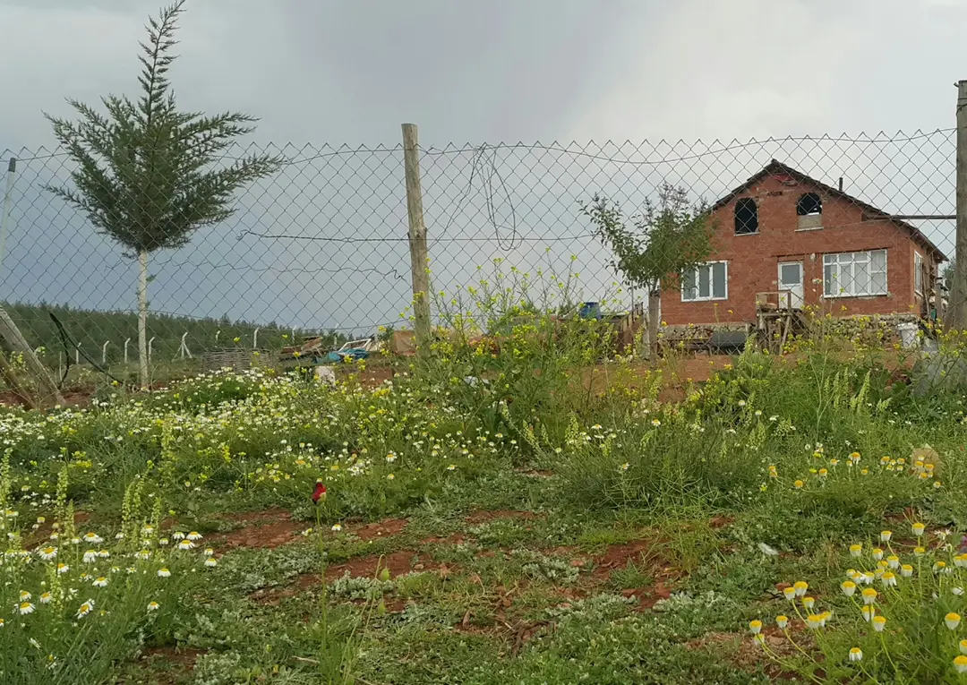 Fethibey Ciftliği
