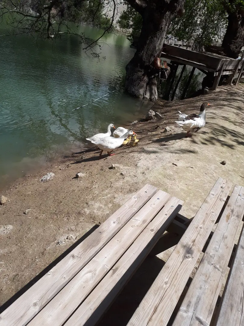 Kolak Gölü Picnic and Camping Area — Denizli — küçük resim 5