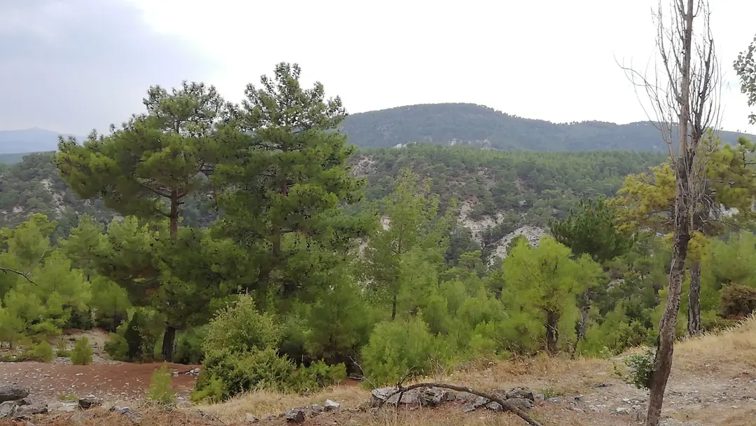 Kolak Gölü Picnic and Camping Area — Denizli — küçük resim 6