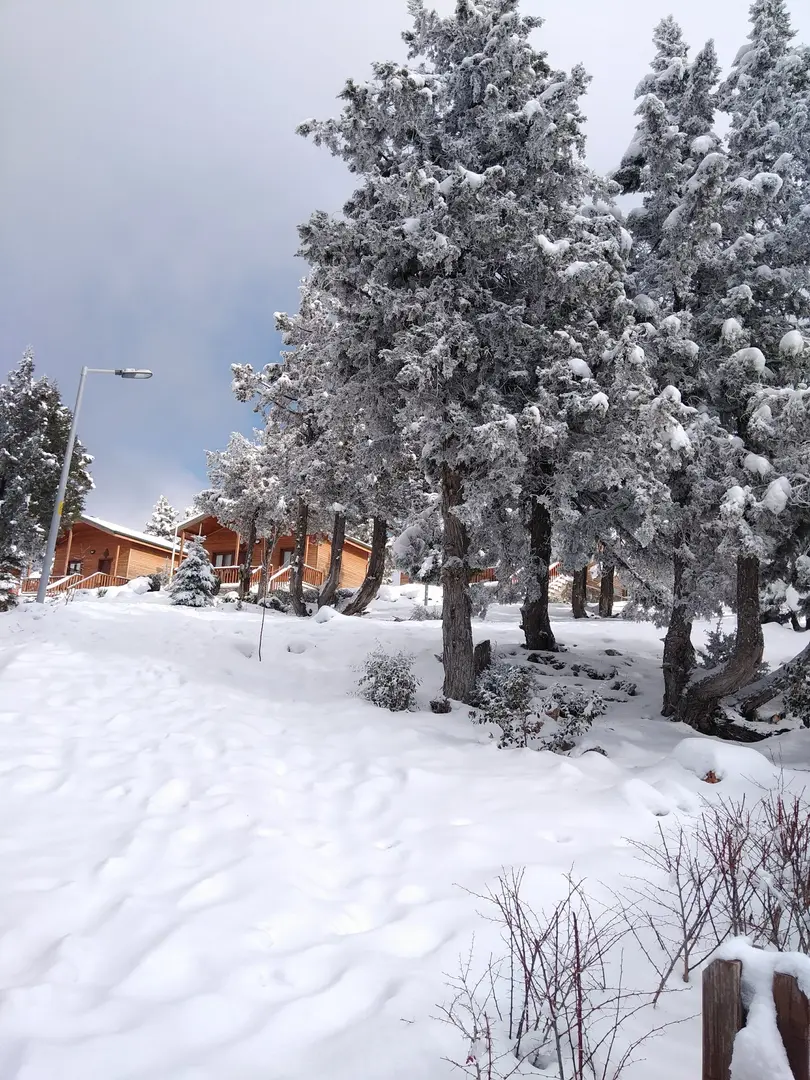 Bağbaşı Yaylası Bungalov Evleri — Denizli — küçük resim 7