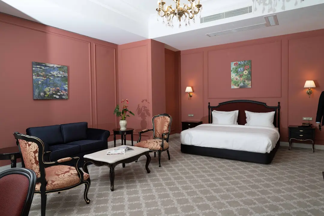 ANIM Boutique Hotel — Denizli — küçük resim 6