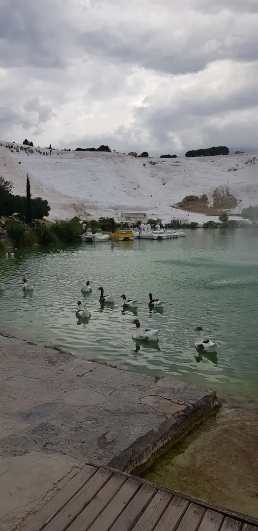 Baydil Park — Denizli — küçük resim 5
