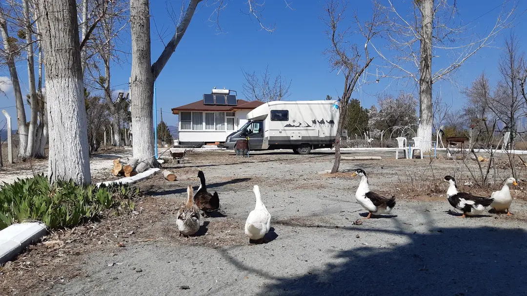Nil Pera Apart & Karavan & <strong>Çadır</strong> — Burdur — küçük resim 6