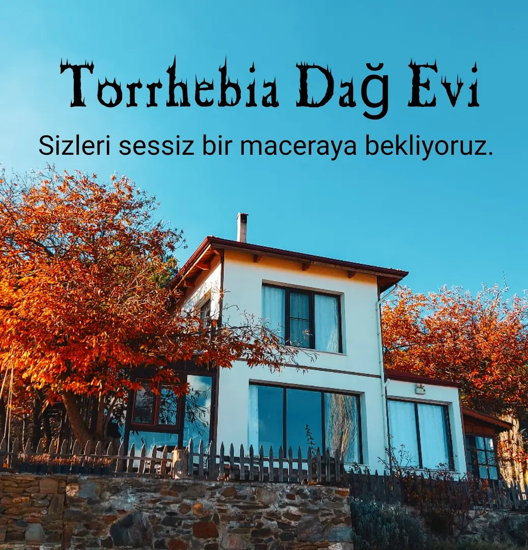 Ödemiş Dağ Evi — İzmir — küçük resim 4