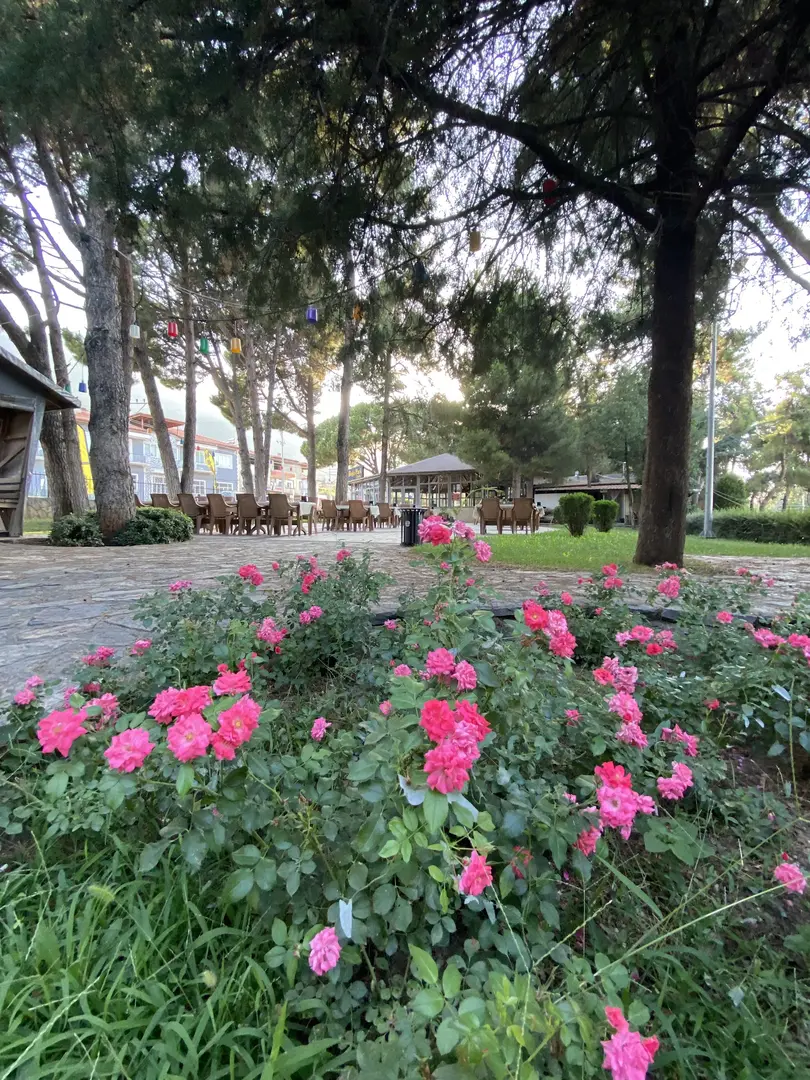 Doğa Garden | Organisation | Grill — Denizli — küçük resim 3