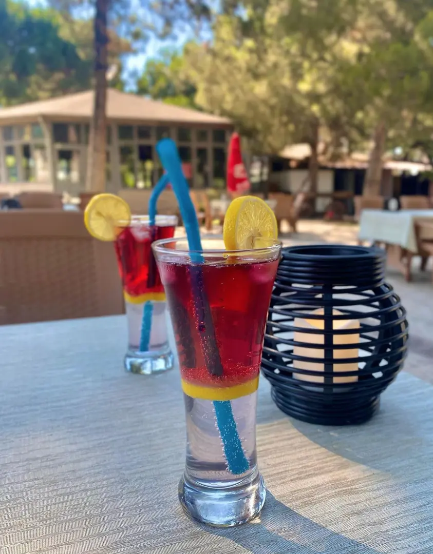 Doğa Garden | Organisation | Grill — Denizli — küçük resim 9