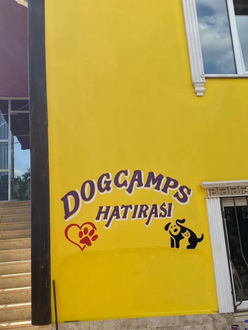 DOGS CAMP KÖPEK EĞİTİMİ DENİZLİ