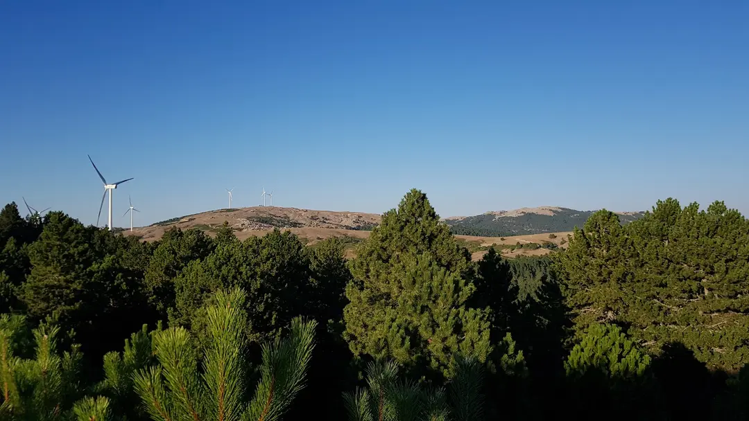 Şırlan Tabiat parkı — Aydın — küçük resim 6