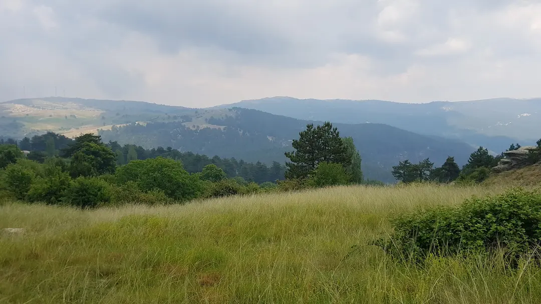 Şırlan Tabiat parkı — Aydın — küçük resim 11