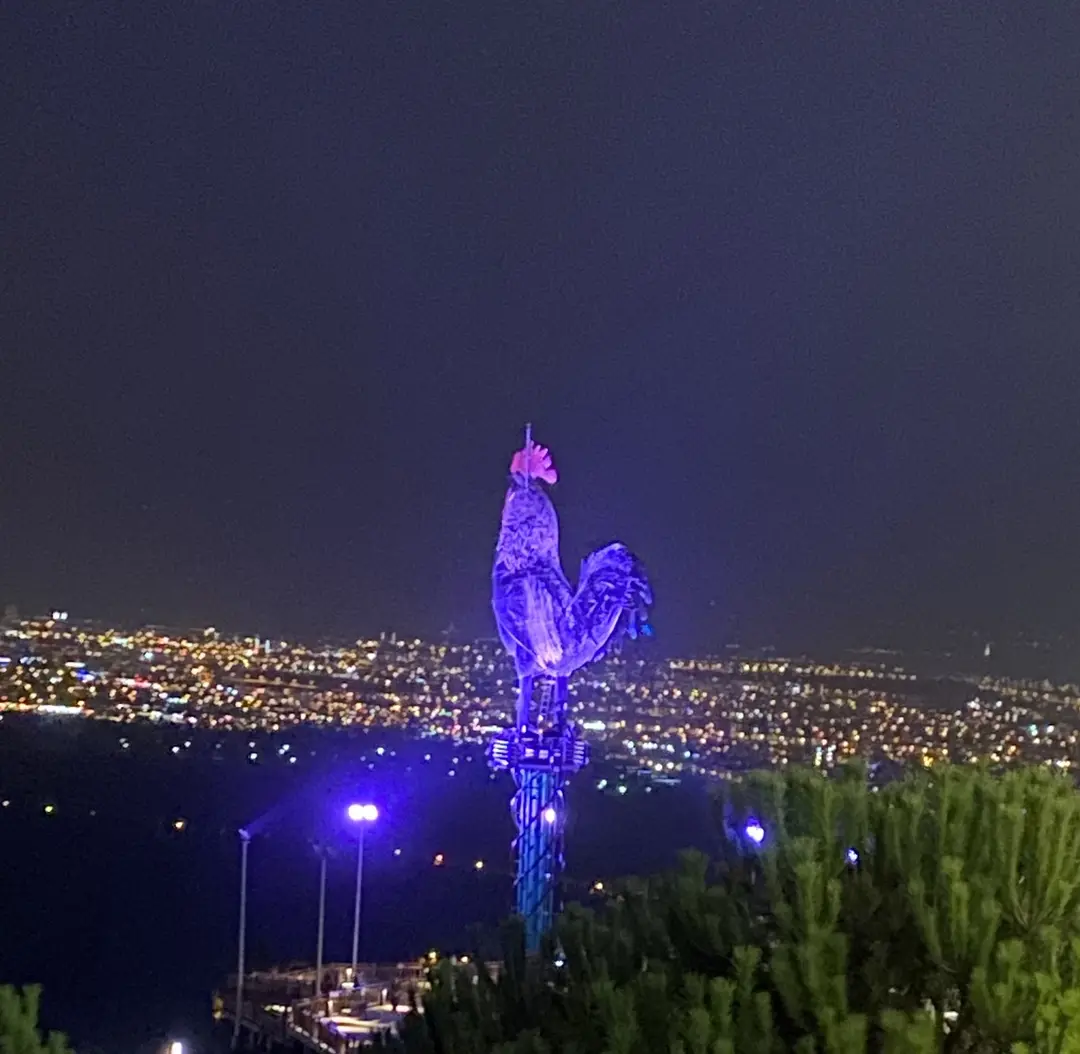 Pamukkale Belediyesi Seyir Tepsi Şehir Ormanı — Denizli — küçük resim 2