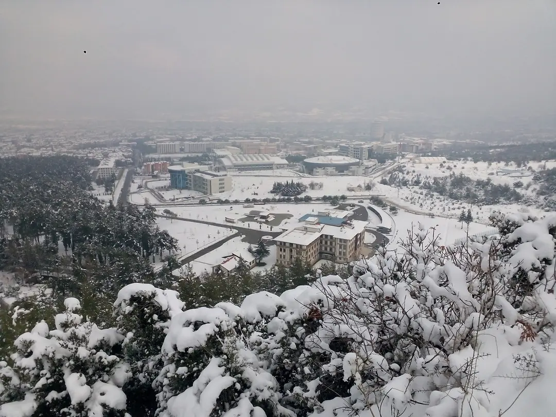 Denizli Skov Regionens Kontor — Denizli — küçük resim 8