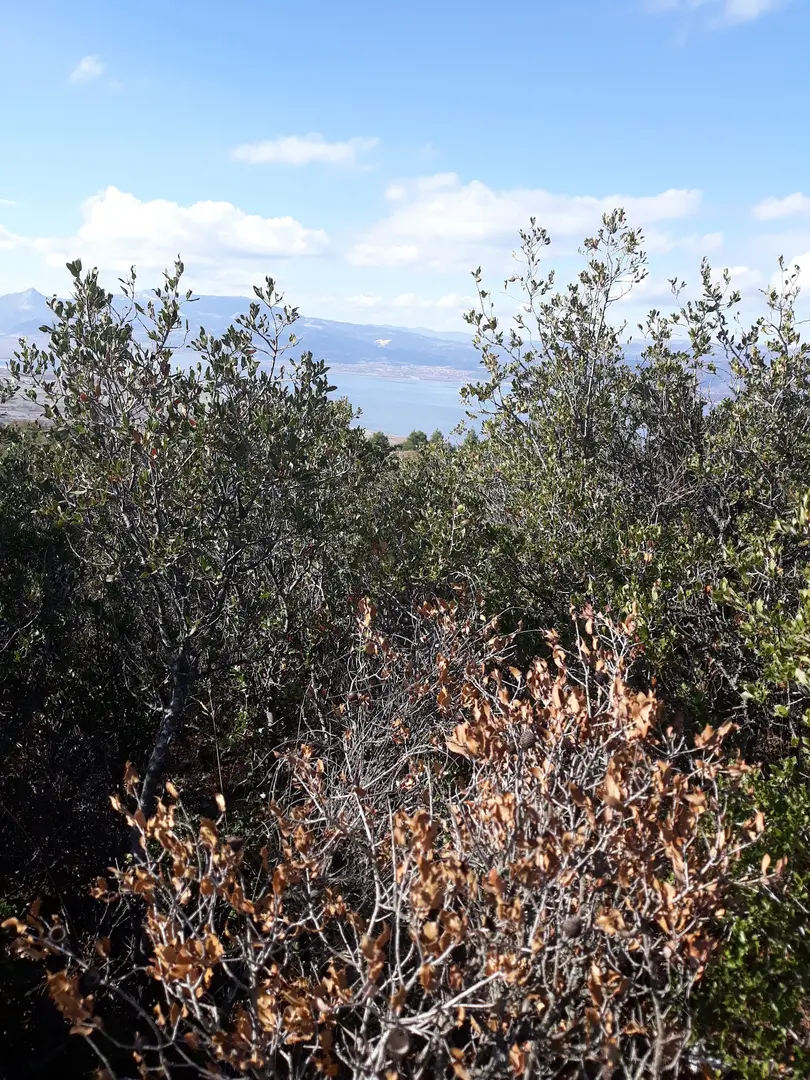 Burdur Kent Ormanı — Burdur — küçük resim 10