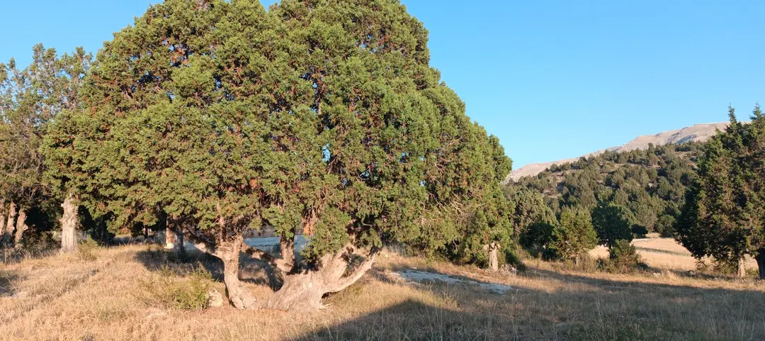 Burdur Kemer Yaylası — Burdur — küçük resim 4