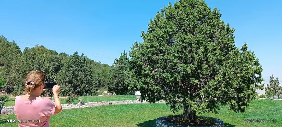 Burdur Kemer Yaylası — Burdur — küçük resim 7