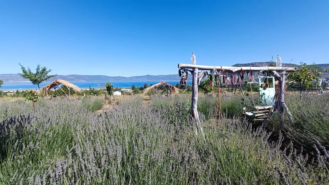 Lavanta Kum Tepesi — Burdur — küçük resim 2