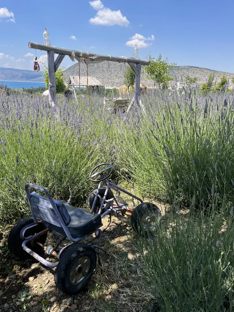 Lavanta Kum Tepesi — Burdur — küçük resim 6