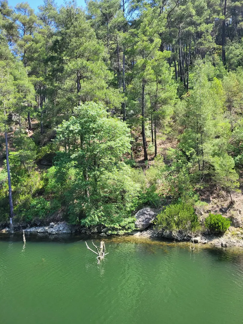 Kargı Köyü Sıfla Forest Nature Conservation Area — Burdur — küçük resim 4