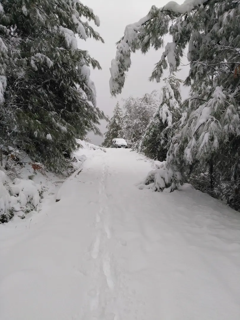 Kargı Köyü Sıfla Forest Nature Conservation Area — Burdur — küçük resim 7
