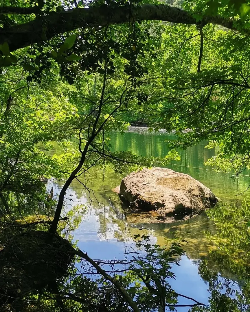 Kargı Köyü Sıfla Forest Nature Conservation Area — Burdur — küçük resim 6