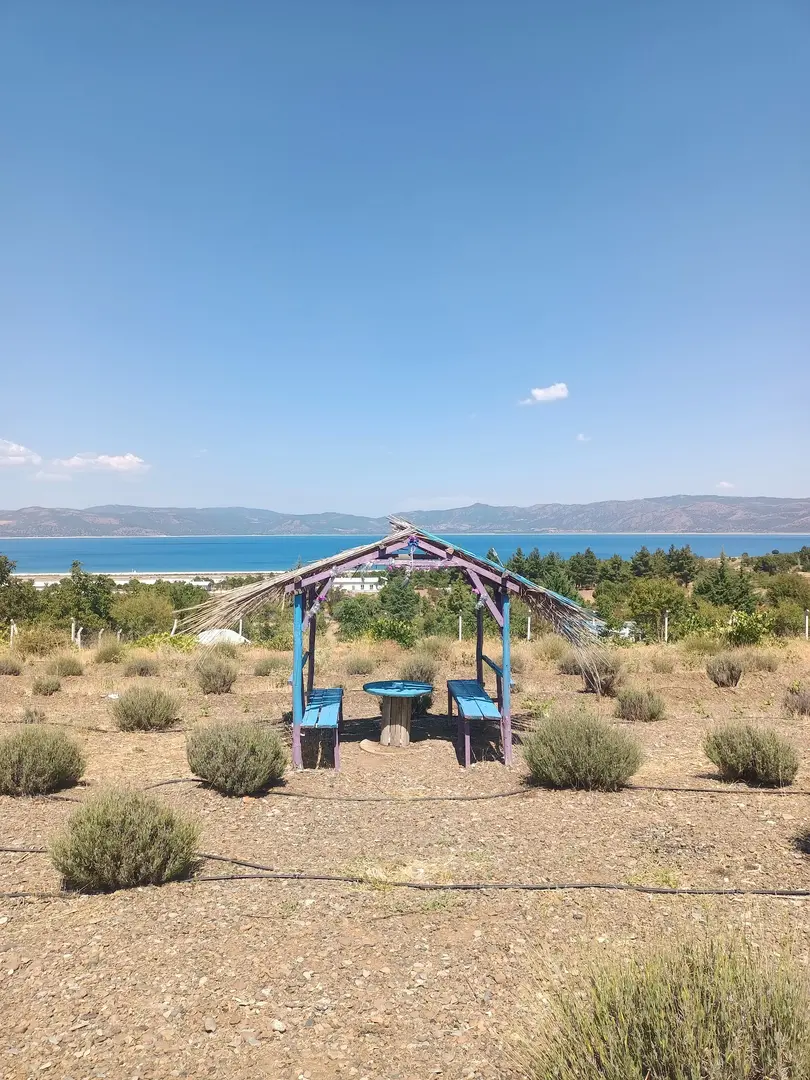 Sıra Çamlar — Burdur — küçük resim 8