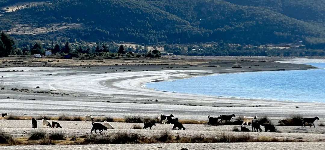 Sıra Çamlar — Burdur — küçük resim 9
