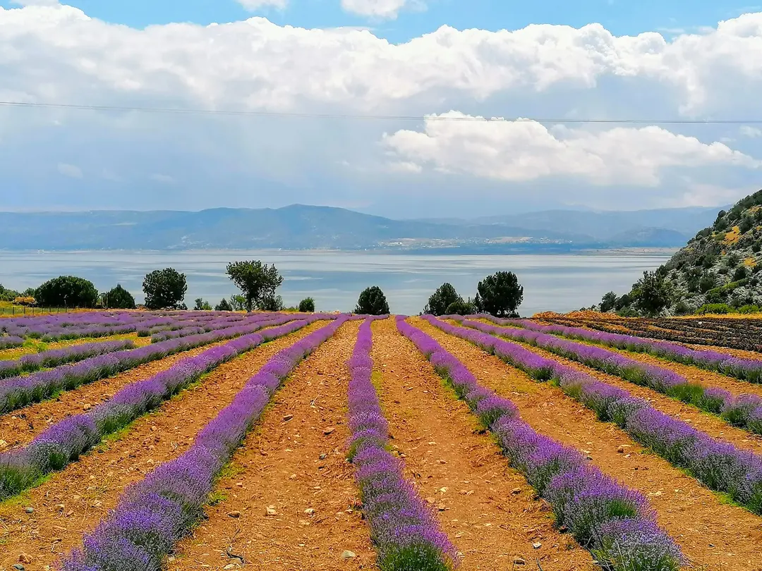 Lisinia Nature Project Area — Burdur — küçük resim 8