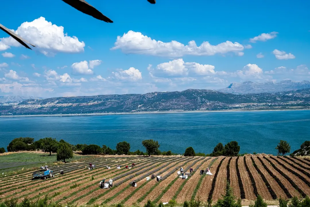 Lisinia Nature Project Area — Burdur — küçük resim 9