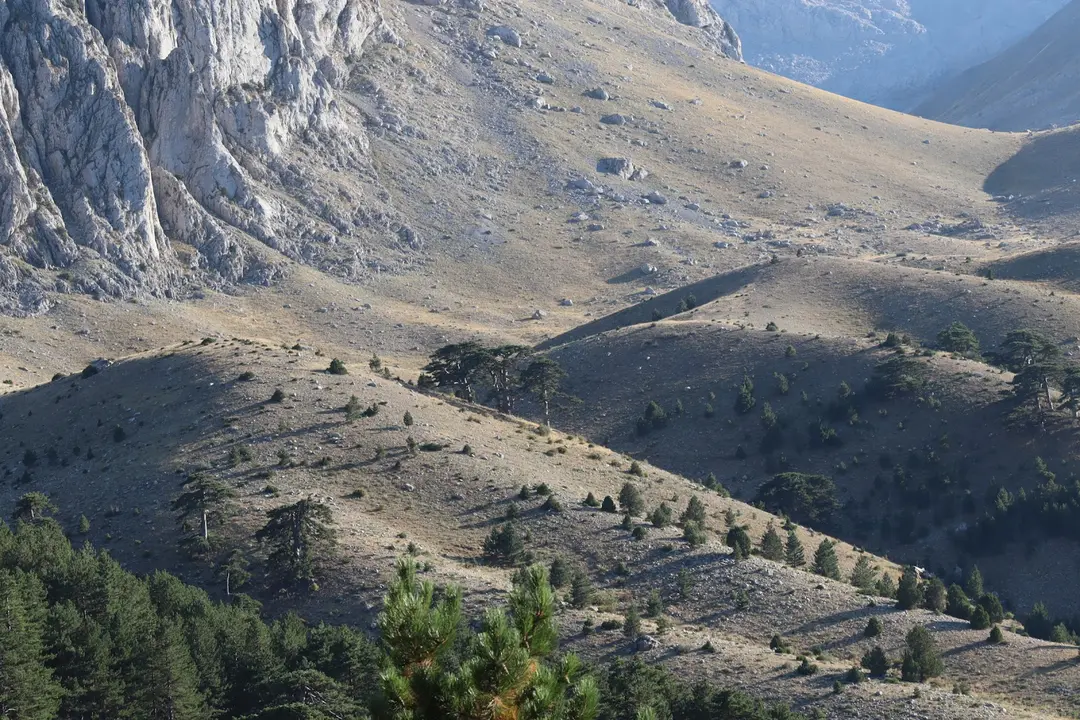 Melikler Yaylası Picnic and Camping Area is closed — Isparta — küçük resim 8