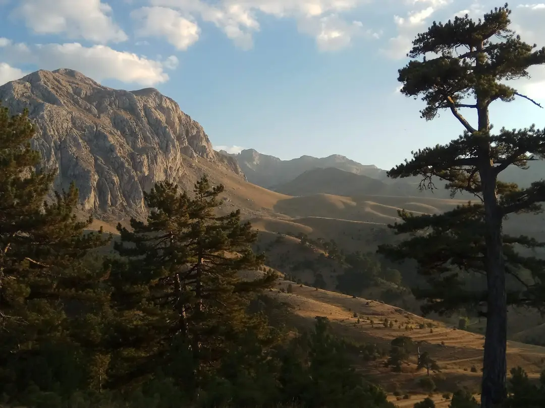 Melikler Yaylası Picnic and Camping Area is closed — Isparta — küçük resim 5