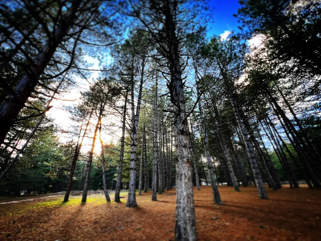 Yamanlardağı Nature Park — Isparta — küçük resim 5