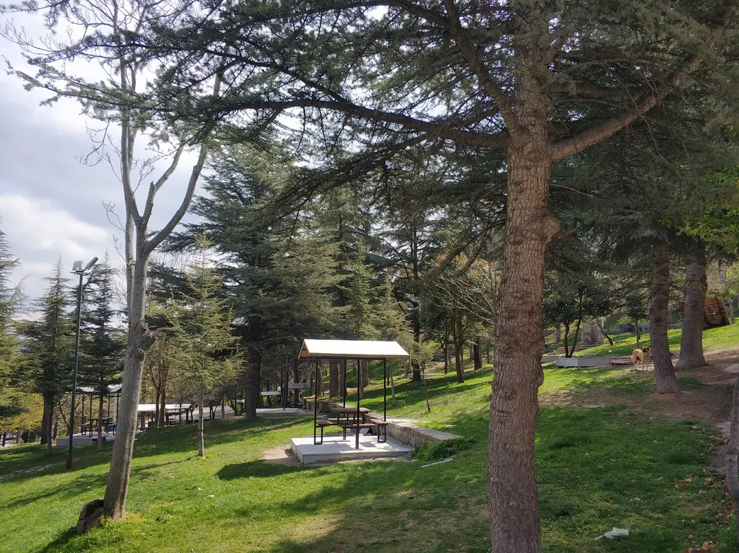 Historical Ayazmana Mesireli — Isparta — küçük resim 9