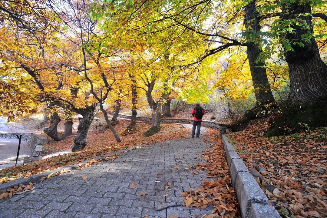 Historical Ayazmana Mesireli — Isparta — küçük resim 5