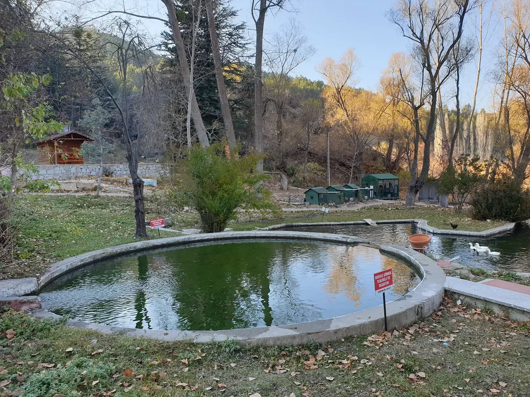 Milas Mesireliği — Isparta — küçük resim 2
