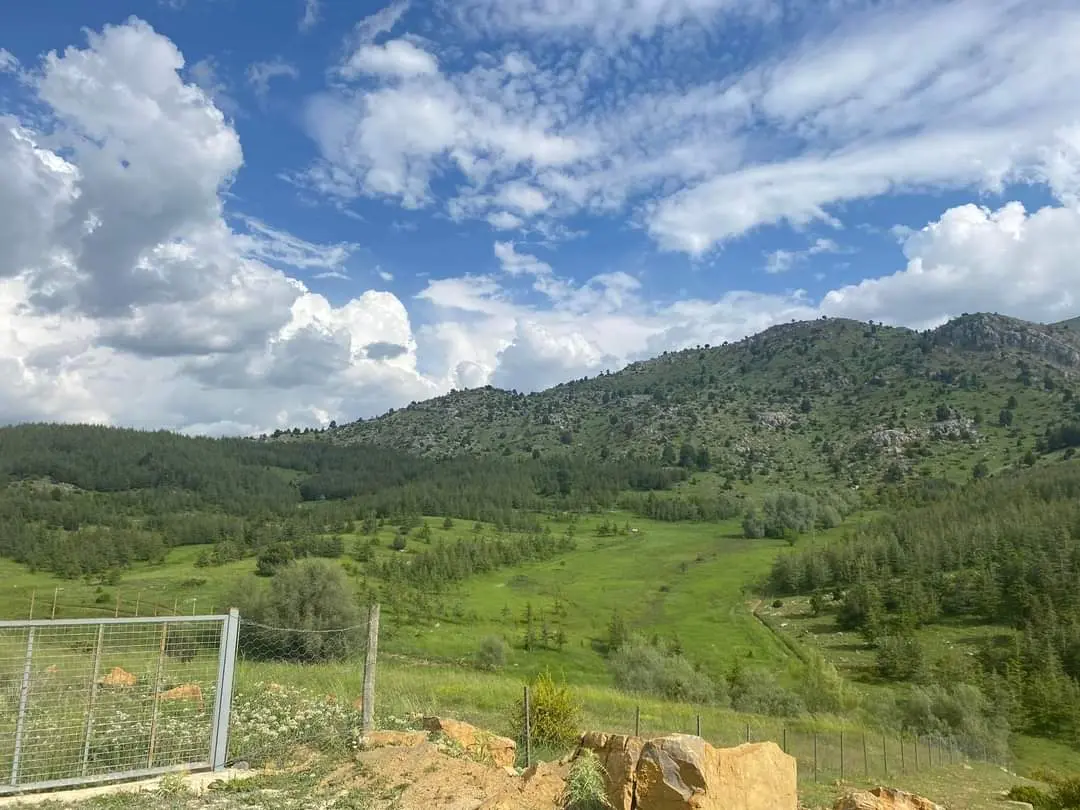 Mezerediği picnic camping area — Isparta — küçük resim 2